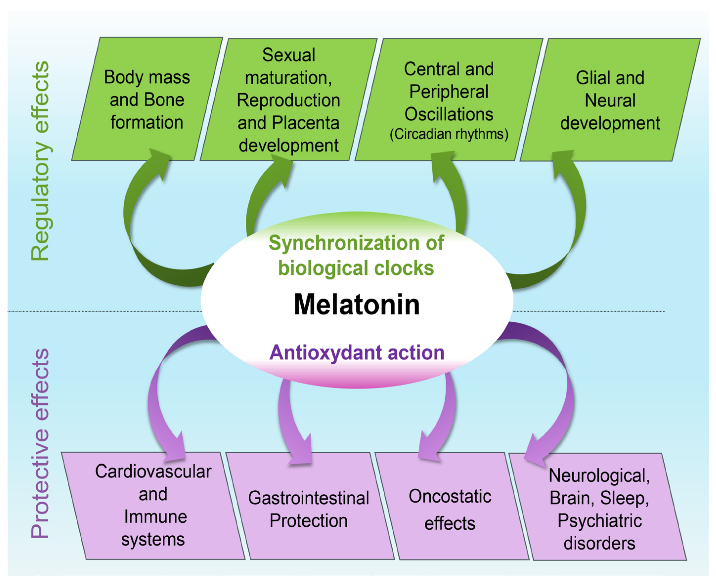 Beneficios de la Melatonina Beneficios de la Melatonina